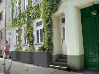 Zöldülő házakkal „hűtik” a bécsi utcákat