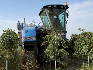 Őszi ellenőrzések: 20 milliós bírság fenyeget