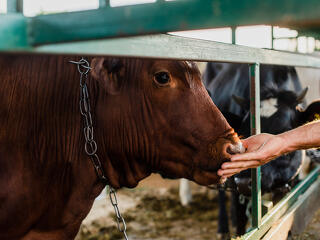 Megjött a segítség: vastagon fizet az állam a gazdálkodóknak