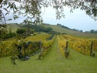 Örülnek a kánikulának