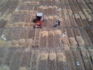 Egyre több helyen csökken a földek terméshozama a talajromlás miatt