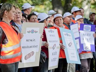 Kapuvár sorsára jut a Gyulai Húskombinát is