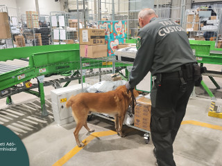 A postai küldeményeket is vizsgálja a NAV