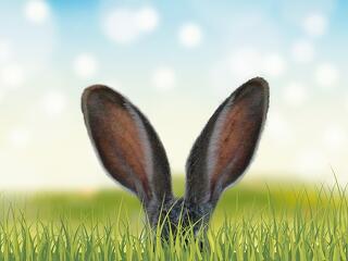 Hogyan kaszálhatnak a vállalkozások húsvétkor?