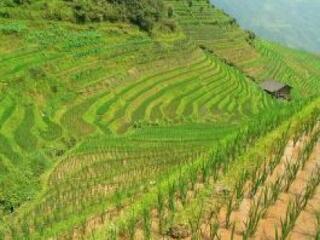 Szuperszámítógép oldja meg az éhezési gondokat?