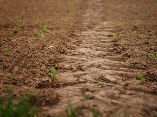 Pálfordulást jelez a kormánypártok suttyomban meghozott törvénymódosítása