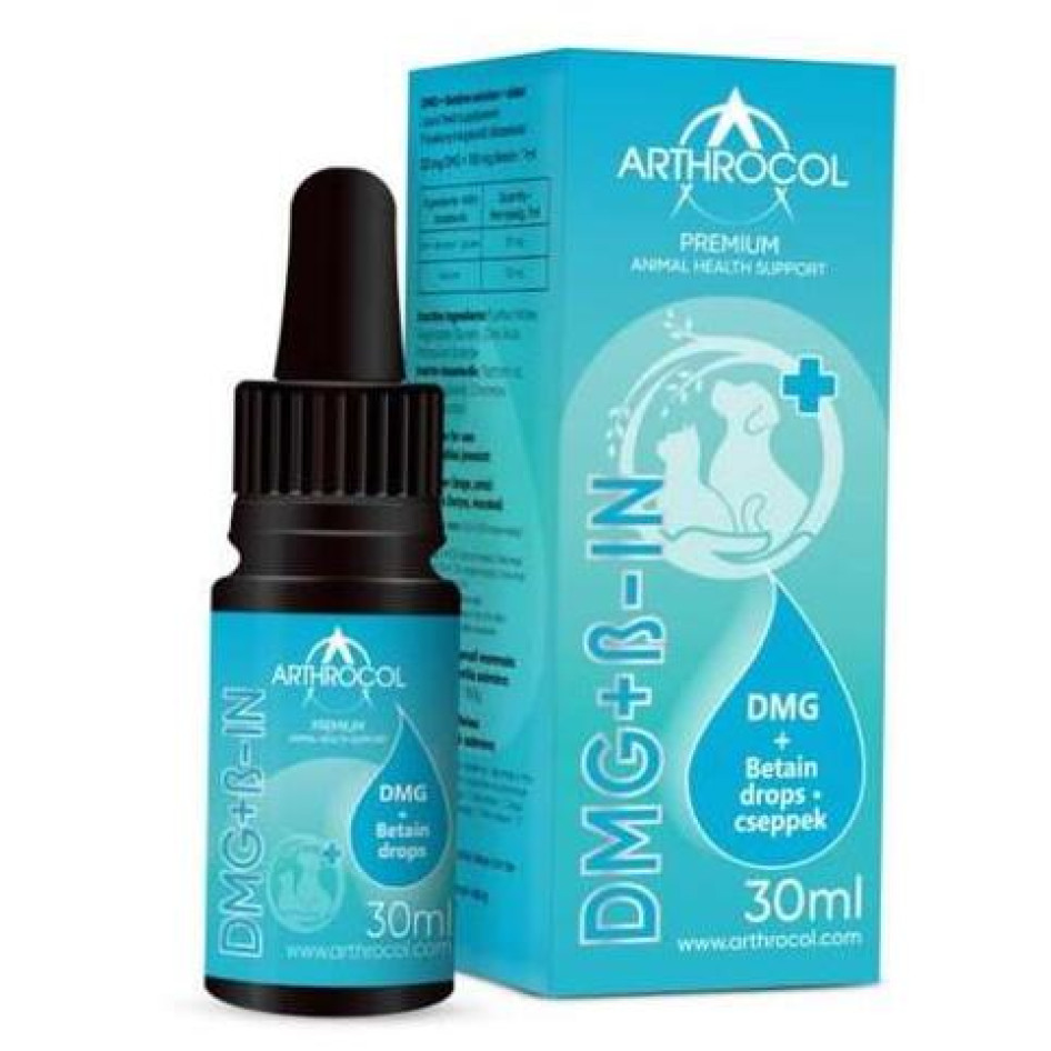 A megelőzésre érdemes a hangsúlyt tenni