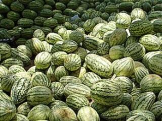 Nem hagyják a dinnyések: blokádok az Alföldön!