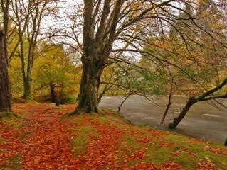 Sorra dőlnek meg a rekordok