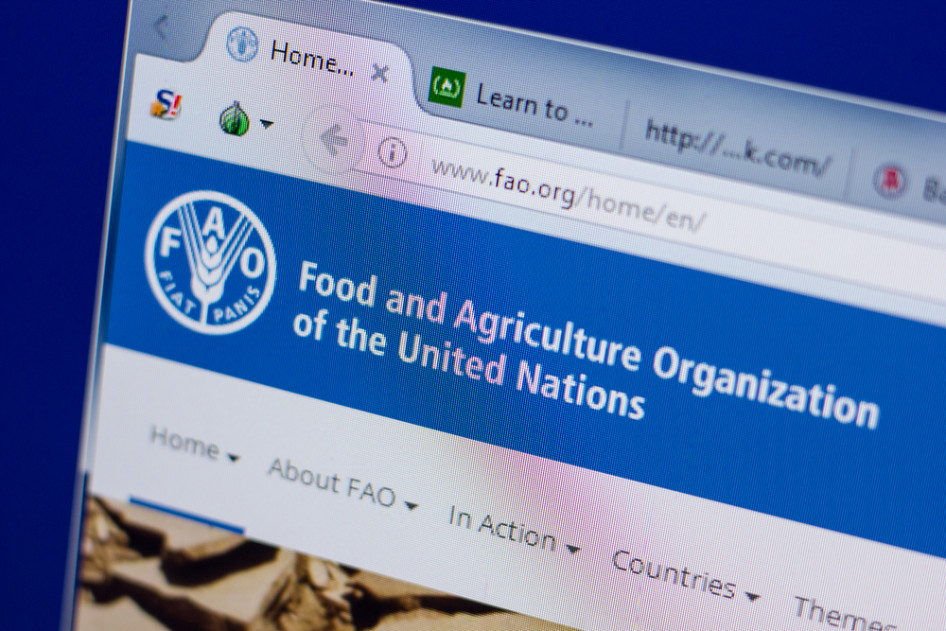 Optimisták a FAO-nál 