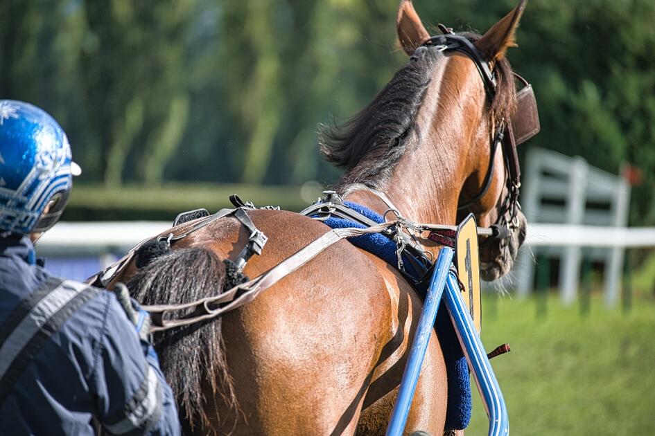 Volt minden, ami kellhet. Számlagyár, luxusautók, versenylovak