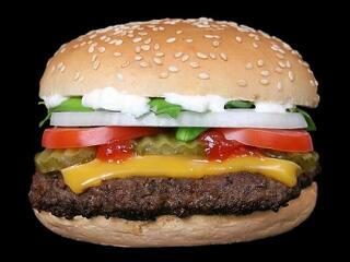 Matolcsyék azért elgondokodnak a hamburgeradón