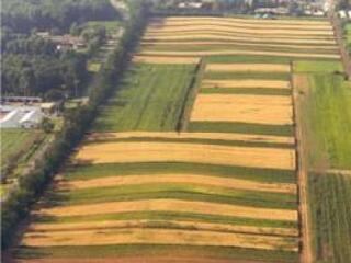 Milliárdok a Nyírségben