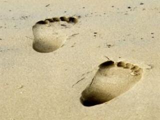 Hiába tanulnánk, nincs már pénz