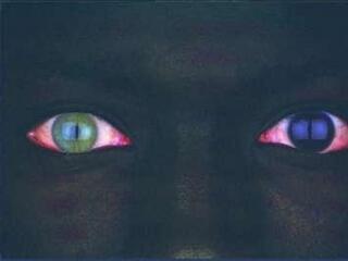 Maffiafék államtitkárral, képviselőkkel és a nyilvánossággal