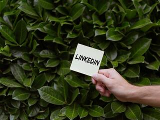 Felsővezetők a neten: kik a hazai LinkedIn legnagyobbjai?