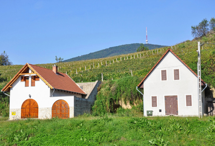 Csökkent Tokaj vonzereje 