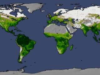 Mi mindenre képes az emberiség!