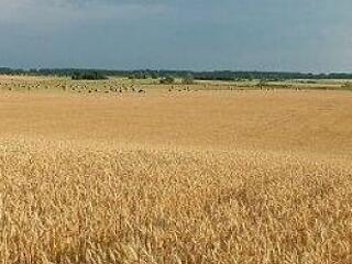 Energiahatalom leszünk?