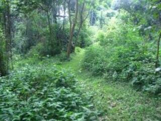 37 millió euró vár még gazdára