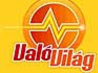 Ellopták a Big Brothert