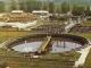 Élőgépekkel Essenben