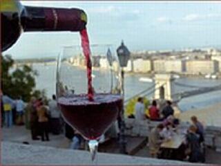 Borparádé, sztárparádé