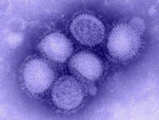 Újraélesztették az újinfluenzás kismamát