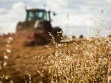 Fékezte a magyar GDP-t a mezőgazdaság teljesítménye