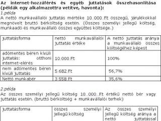 Otthon is szörfözhetnek az Albacomp dolgozók