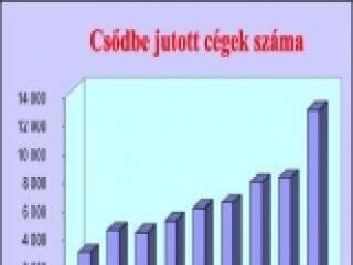 Egyre fogynak a cégek!