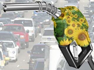 Bioüzemanyag és gyermekrabszolgaság