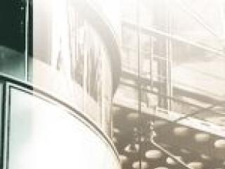 Sokan vadásznak kisebbekre