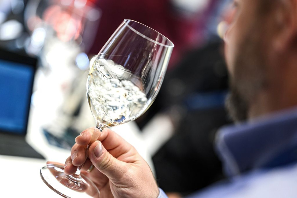 A borkészítők legjobbjai találkoznak 