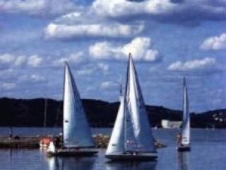 Lezárult az Apeh-akció