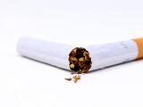 Az elmúlt évek legnagyobb illegális cigarettadepójára bukkantak a NAV-osok 