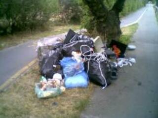 Környezettudatos cégeket keres Szeged