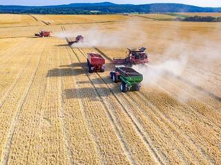 Az orosz-ukrán háború miatt nehéz helyzetbe került mezőgazdasági ágazatok támogatást kapnak