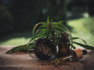 Kérdések és válaszok a CBD-ről