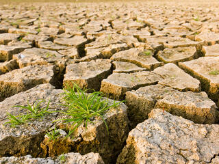 Kritikus állapotban a Föld több mint kétharmada