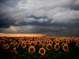 Letarolták az országot a viharok 