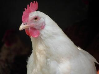 Februárban kérhető a támogatás kifizetése