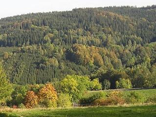 Egy ősi szakma, amiről keveset tud a világ