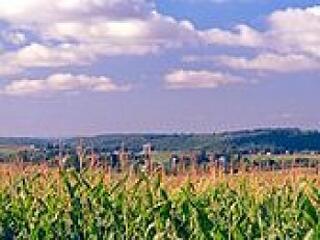 Dcemberben egy összegben kifizetik