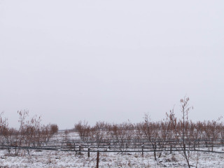 Kulcsfontosságú napok előtt a magyar földek