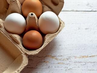 Közel 40 százalékot drágult idén a tojás 