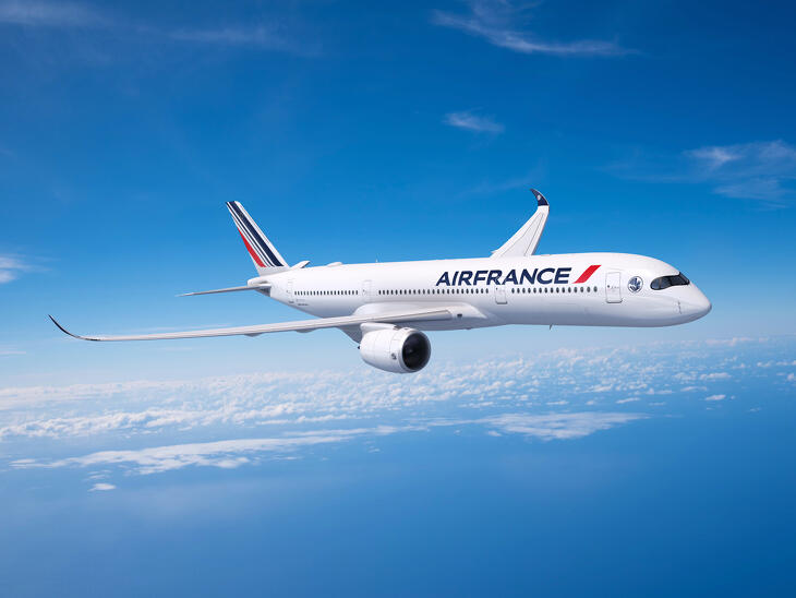 Kelendőek az új Airbusok (Fotó: Air France-KLM)
