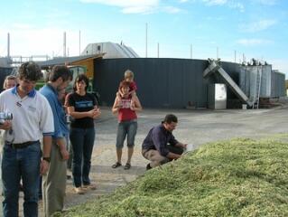 Ötletek életmód reformhoz