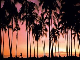 "Nincs pénzünk, inkább utazd körbe a Földet"