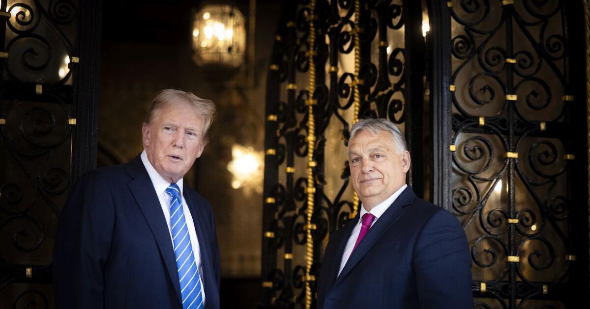 Fájnak a magyar gazdaságnak Trump tervei